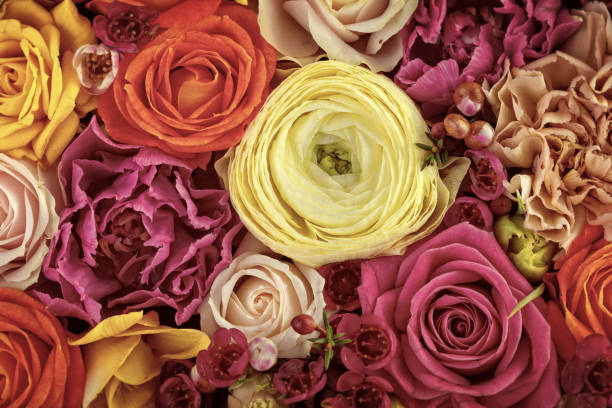 istock Floral background, colorful flowers buds 941090676