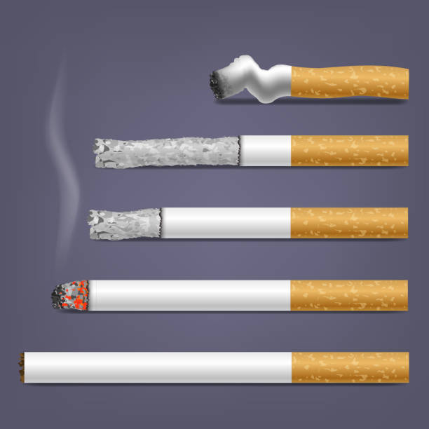 stockillustraties, clipart, cartoons en iconen met vector set van sigaretten - sigaret