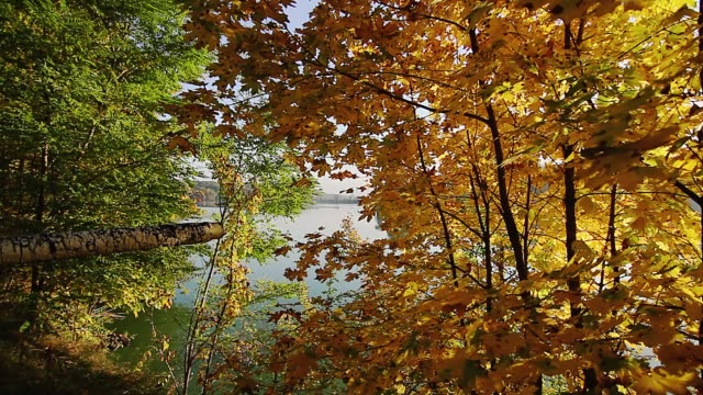 Autumn nature landscape