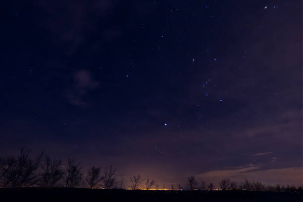 istock Night sky with stars. Silhouete of trees on night sky. 941097562