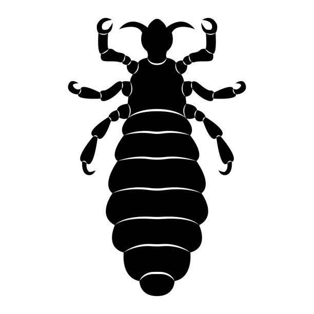 Lice Icon 110+ Lice Treatment Icon Stock Illustrations, Royalty-Free Vector ...