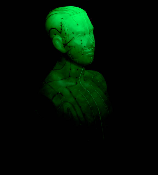 istock Medical acupuncture model of human 941107206