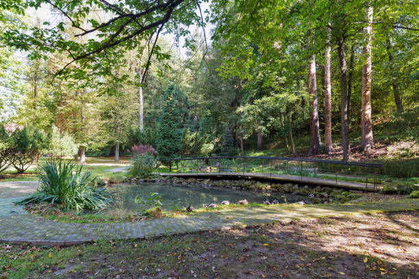 istock Kupelny park on spa resort Sklene Teplice, Slovakia. 941107260