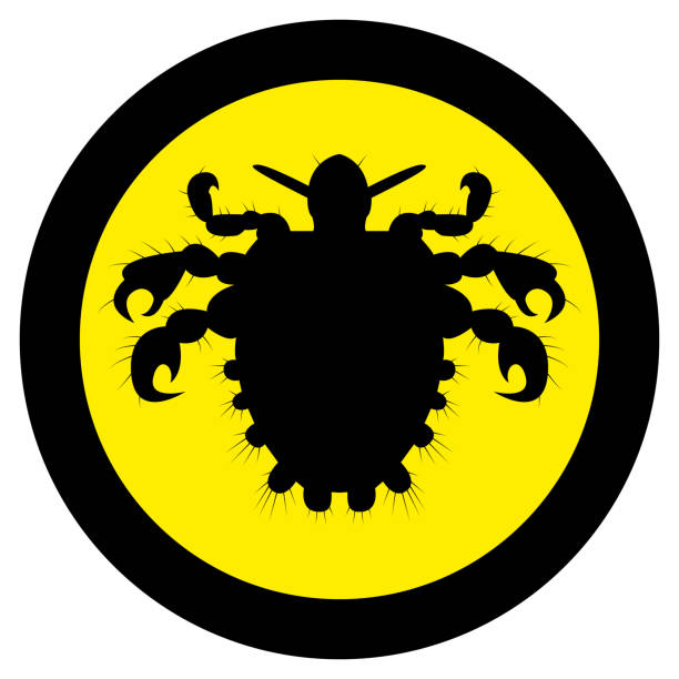 Lice Icon 110+ Lice Treatment Icon Stock Illustrations, Royalty-Free Vector ...