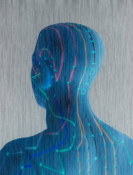 istock Medical acupuncture model of human 941109002