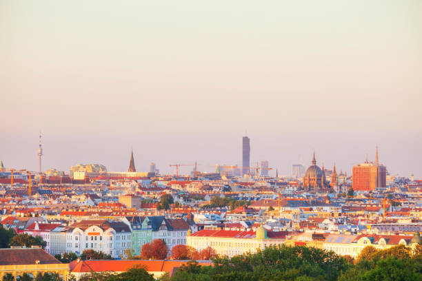 istock Vienna aerial view in the evening 941109552