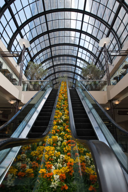 escalator in a shopping mall, north beach, san francisco, california, usa - escalator shopping mall shopping transparent imagens e fotografias de stock