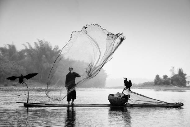 Traditional chinese 75 year old senior fisherman in traditional clothes on his wooden fishing raft with two cormorants fishing with a net on the Li River in the early morning fog light at sunrise. Xing Ping, close to Yangshuo County, Guangxi, Guilin, China.