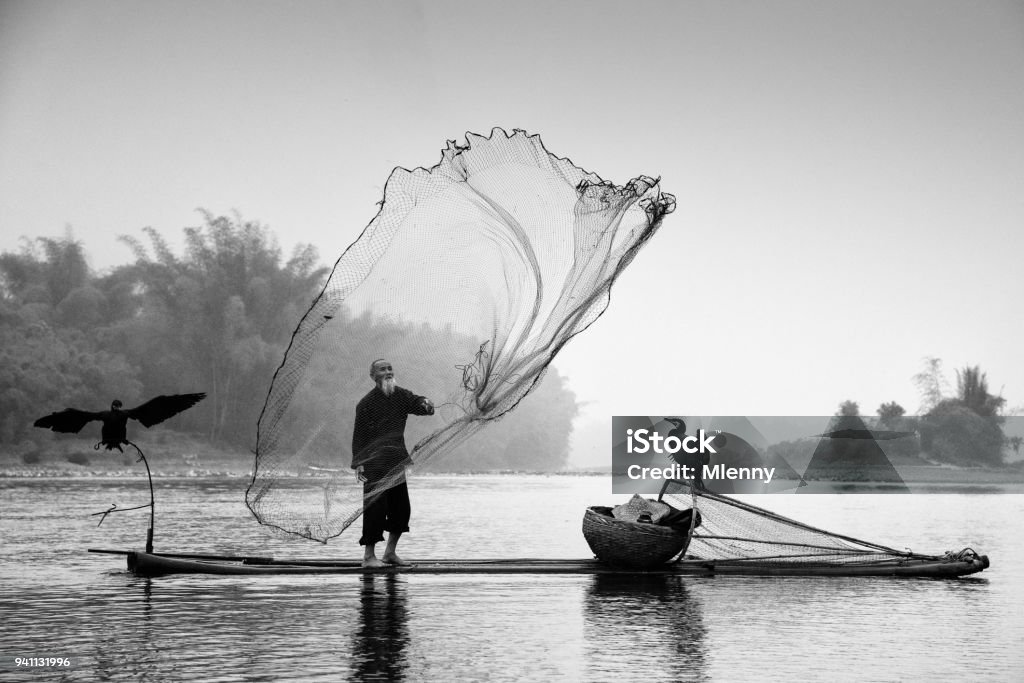 Chinese traditional fisherman Li River China BW Traditional chinese 75 year old senior fisherman in traditional clothes on his wooden fishing raft with two cormorants fishing with a net on the Li River in the early morning fog light at sunrise. Xing Ping, close to Yangshuo County, Guangxi, Guilin, China. Catch of Fish Stock Photo Chinese traditional fisherman Li River China BW Traditional chinese 75 year old senior fisherman in traditional clothes on his wooden fishing raft with two cormorants fishing with a net on the Li River in the early morning fog light at sunrise. Xing Ping, close to Yangshuo County, Guangxi, Guilin, China. Catch of Fish Stock Photo