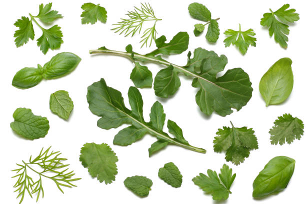 istock green fresh rucola leaves isolated on white background. Rocket salad or arugula. 941132172