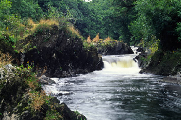 River Teifi, Llandysul Wales, Ceredigion, Llandysul, River Teifi teifi river stock pictures, royalty-free photos & images