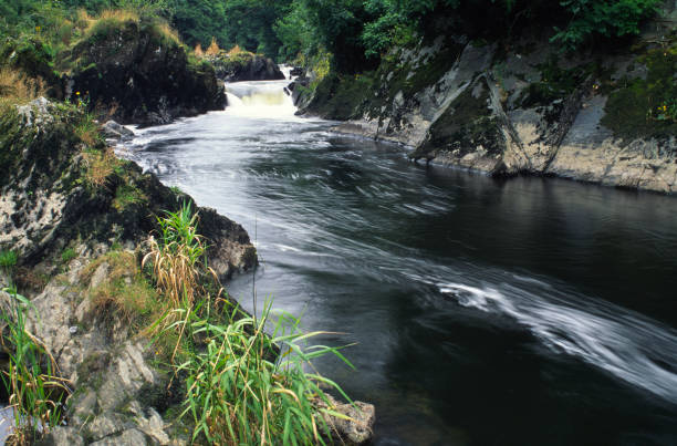 UK, Ceredigion, River Teifi Wales, Ceredigion, Llandysul, River Teifi teifi river stock pictures, royalty-free photos & images