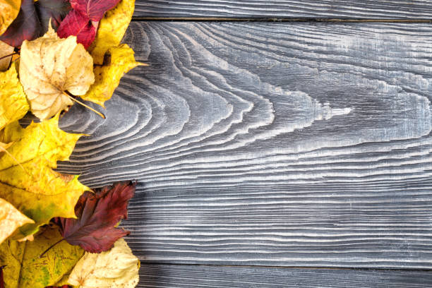istock Wooden background with autumn leaves 941133526