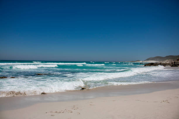 istock Beautiful day at the beach 941136670