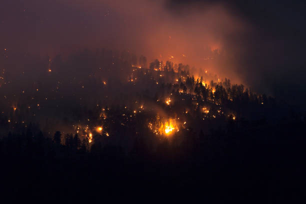 istock Lime Gulch Forest Fire night time mountain glowing Foxton Colorado 941137102