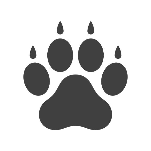 illustrations, cliparts, dessins animés et icônes de icône de patte de chien - paw print