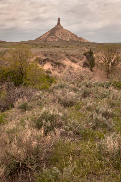 굴뚝 바위 첨탑 국립 역사 사이트 프레리 세이 지 브러시 네브라스카 - nebraska chimney rock the oregon trail great plains 뉴스 사진 이미지