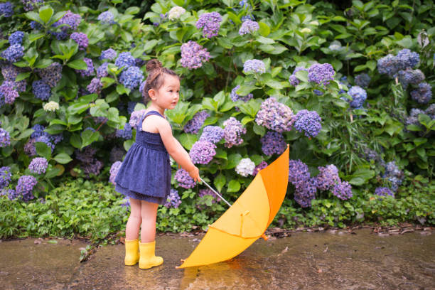 маленькая девочка с зонтиком - 1 2 months стоковые фото и изображения