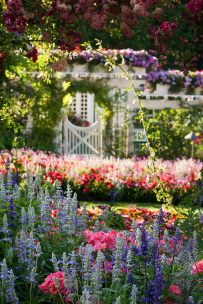 istock Pretty flowers blooming in a formal garden 941144588