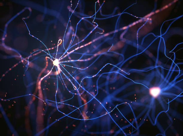 neurons electrical pulses - synapse imagens e fotografias de stock