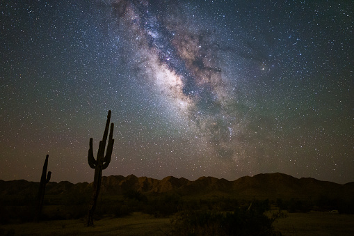 The Milky Way shines brightly in the night sky against a Saguaro cactus silhouette in the Sonoran Desert near Phoenix, Arizona.