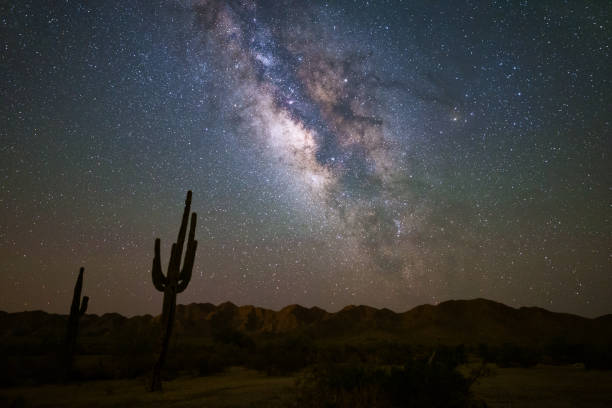 droga mleczna i gwiaździste nocne niebo nad pustynią arizony. - sonoran desert desert arizona saguaro cactus zdjęcia i obrazy z banku zdjęć