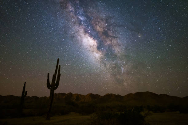 млечный путь и звездное ночное небо над пустыней аризоны. - sonoran desert desert arizona saguaro cactus стоковые фото и изображения