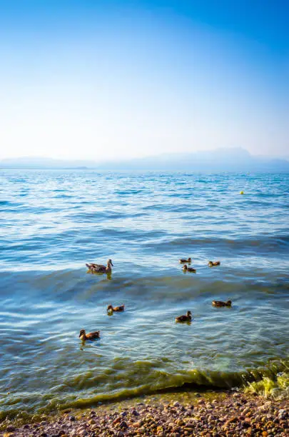 Photo of Beautiful coast of Garda Lake, Italy