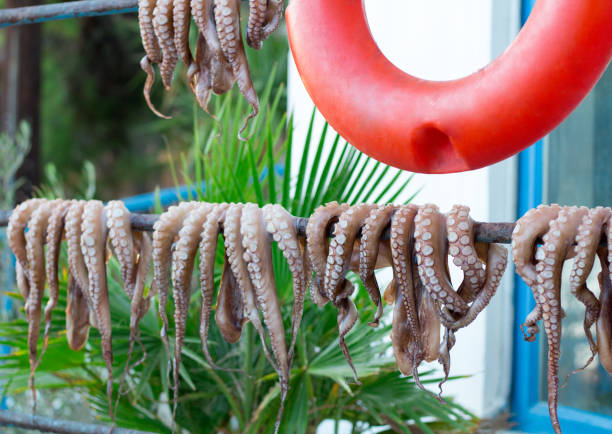 istock Fresh caught octopuses hang to get sun-dried before cooking seafood 941155042