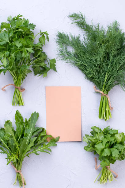 istock Fresh spicy herbs and blank card. 941155738