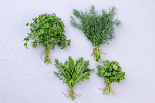 istock Fresh garden dill and parsley. 941155764