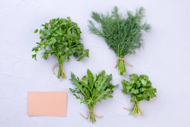 istock Parsley, dill and arugula on textured background. 941155788