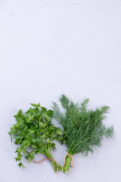 istock Parsley and dill with copy space on top. 941155806