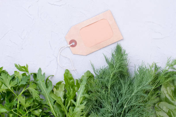istock Row of green herbs and label. 941157830