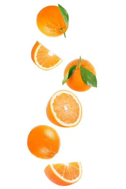 Isolated flying fruits. Isolated falling orange fruit on white background with clipping path as package design element and advertising.