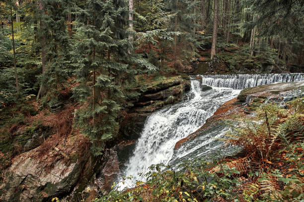 istock Waterfall in nature pine Scandinavian mountain forest in evening light. Wet cold rock stones covered with northern moss. Nordic spruce tree forest background. Travel concept. Landscape view. 941160446