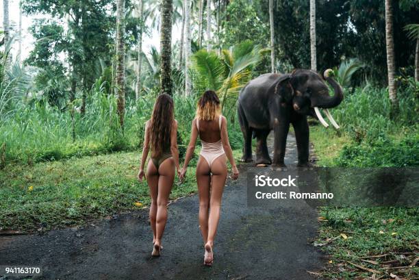 Due Giovani Donne Tornano Alla Telecamera Con Il Ass Elefante Sullo Sfondo Vicino Alla Foresta Bella Modella Ragazza Con Corpo In Forma In Posa In Costume Da Bagno Bianco E Verde Concetto Di Zoo Servizio Fotografico Tropicale - Fotografie stock e altre immagini di Elefante