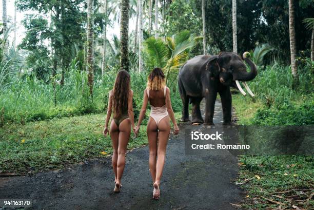2 つの若い梨花のお尻カメラ背景の森付近に象に背を向けますフィットのボディを白と緑の水着でポーズをとる美少女モデル動物園熱帯の写真撮影のコンセプト - ゾウのストックフォトや画像を多数ご用意