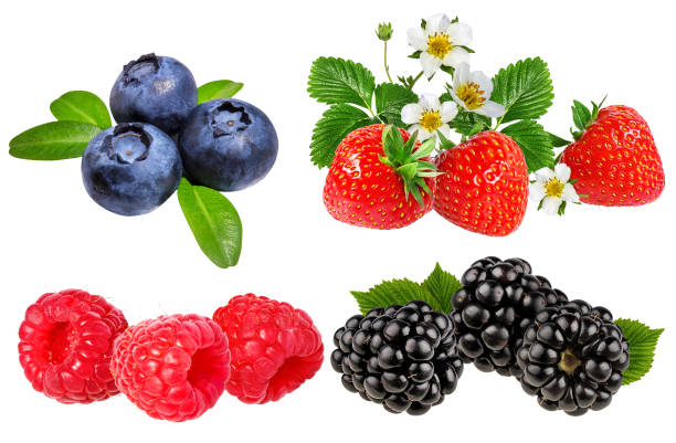 istock collection of fresh berries isolated on white 941163210