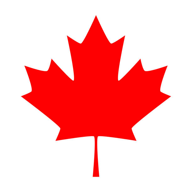 ahornblatt. kanada-symbol maple leaf - canadian flag stock-grafiken, -clipart, -cartoons und -symbole