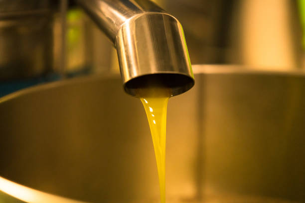 istock Processing of olive oil in a modern farm. 941166450
