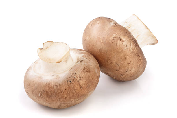 istock Royal Brown champignon isolated on white background 941166576