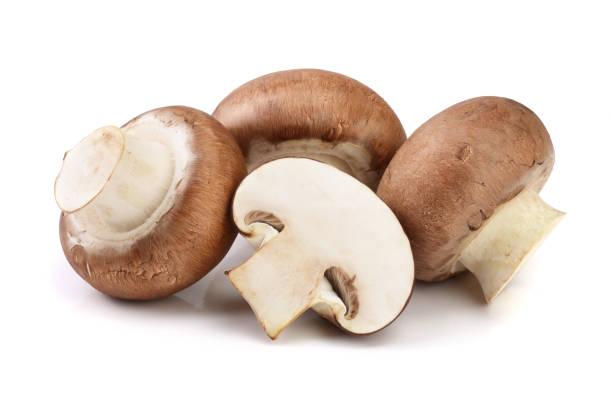 istock Royal Brown champignon with half isolated on white background 941166610