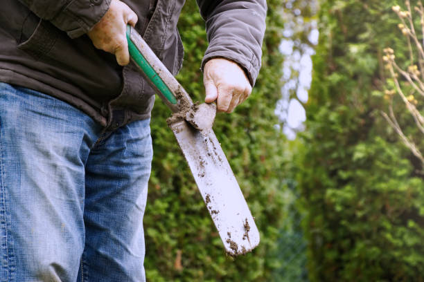 istock Gardener cleaning a spade from soil 941170360