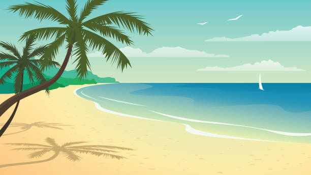 Vector illustration with beach Sunny sandy beach with palm trees, sea or ocean, seascape, travel, tropical island sand illustrations stock illustrations