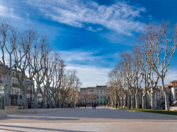 Cours Mirabeau promenade in the center of Narbonne Cours Mirabeau promenade in the center of Narbonne on a sunny winter day narbonne stock pictures, royalty-free photos & images