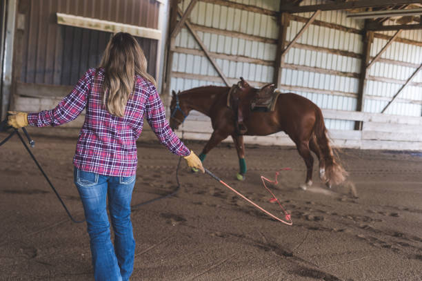 istock A Woman and Her Horse 941178096