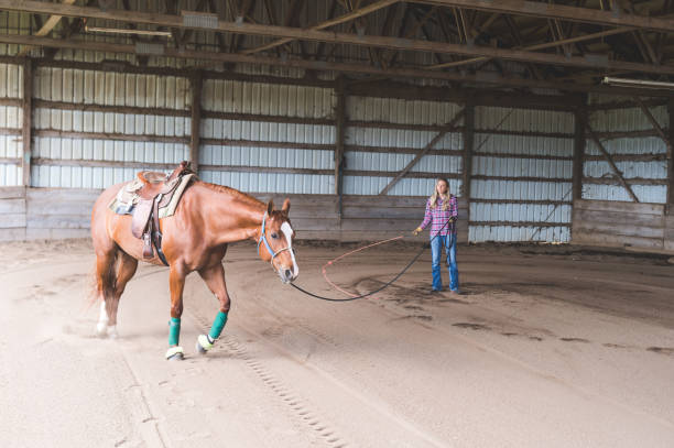 istock A Woman and Her Horse 941178108