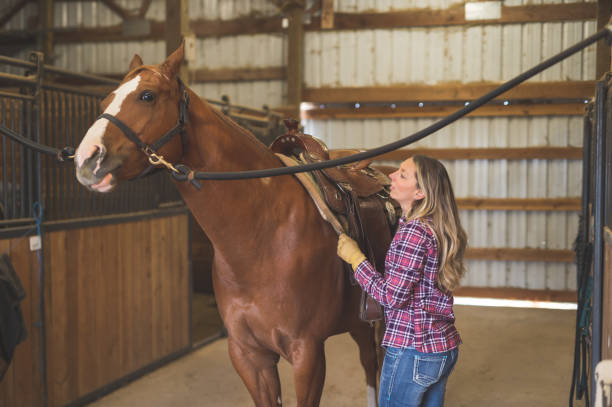 istock A Woman and Her Horse 941178118
