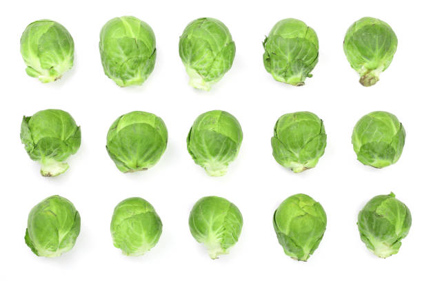 istock Brussels sprouts isolated on white background closeup. Top view. Flat lay. Set or collection 941184200